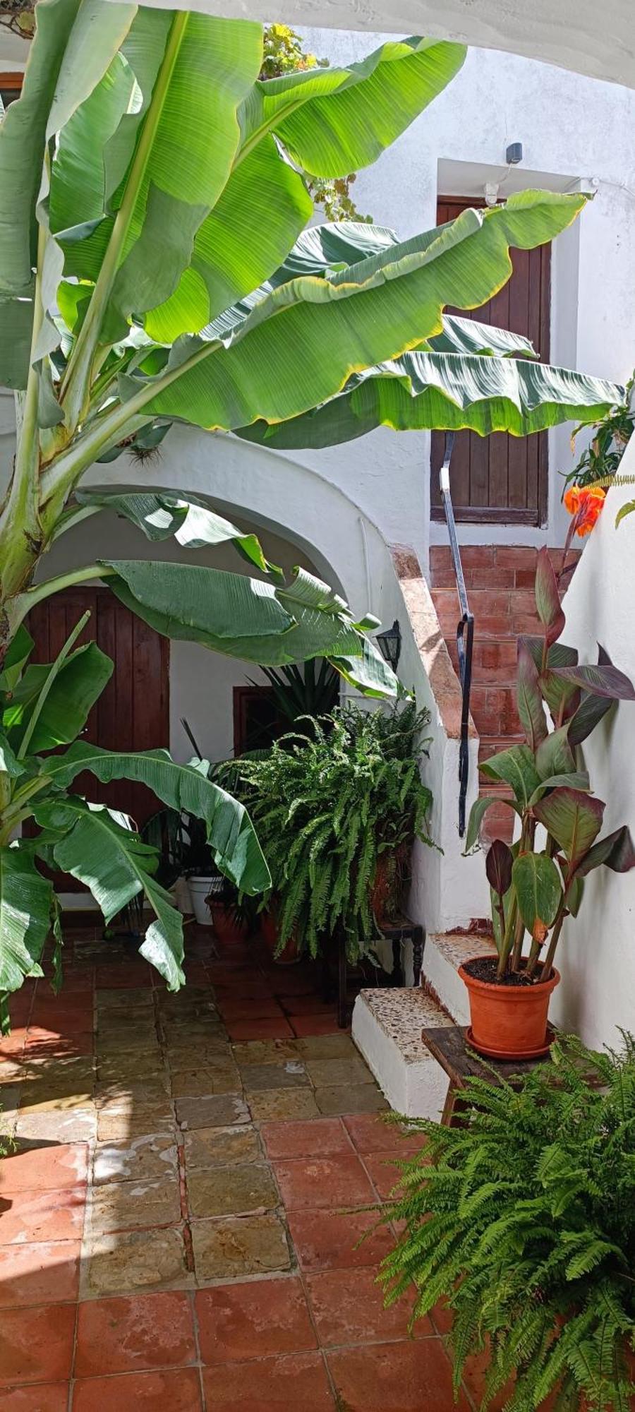 The Best In The Center Of Tarifa Apartment Екстериор снимка