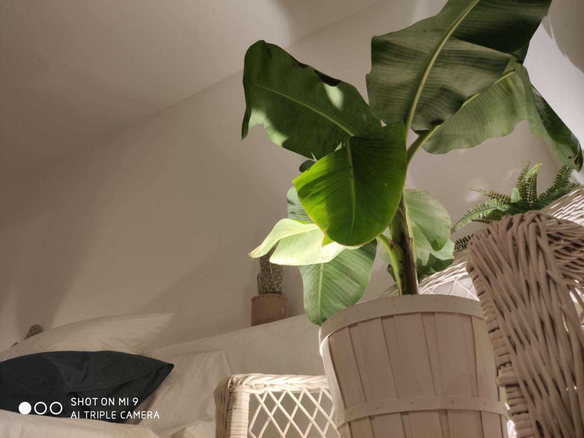 The Best In The Center Of Tarifa Apartment Екстериор снимка